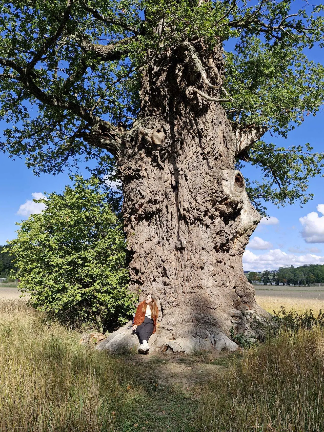 Organising trips and exploring Swedish heritage